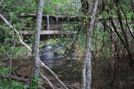 mint-spring-waterfall-DSC_5604 mint-spring-waterfall-DSC_5604
