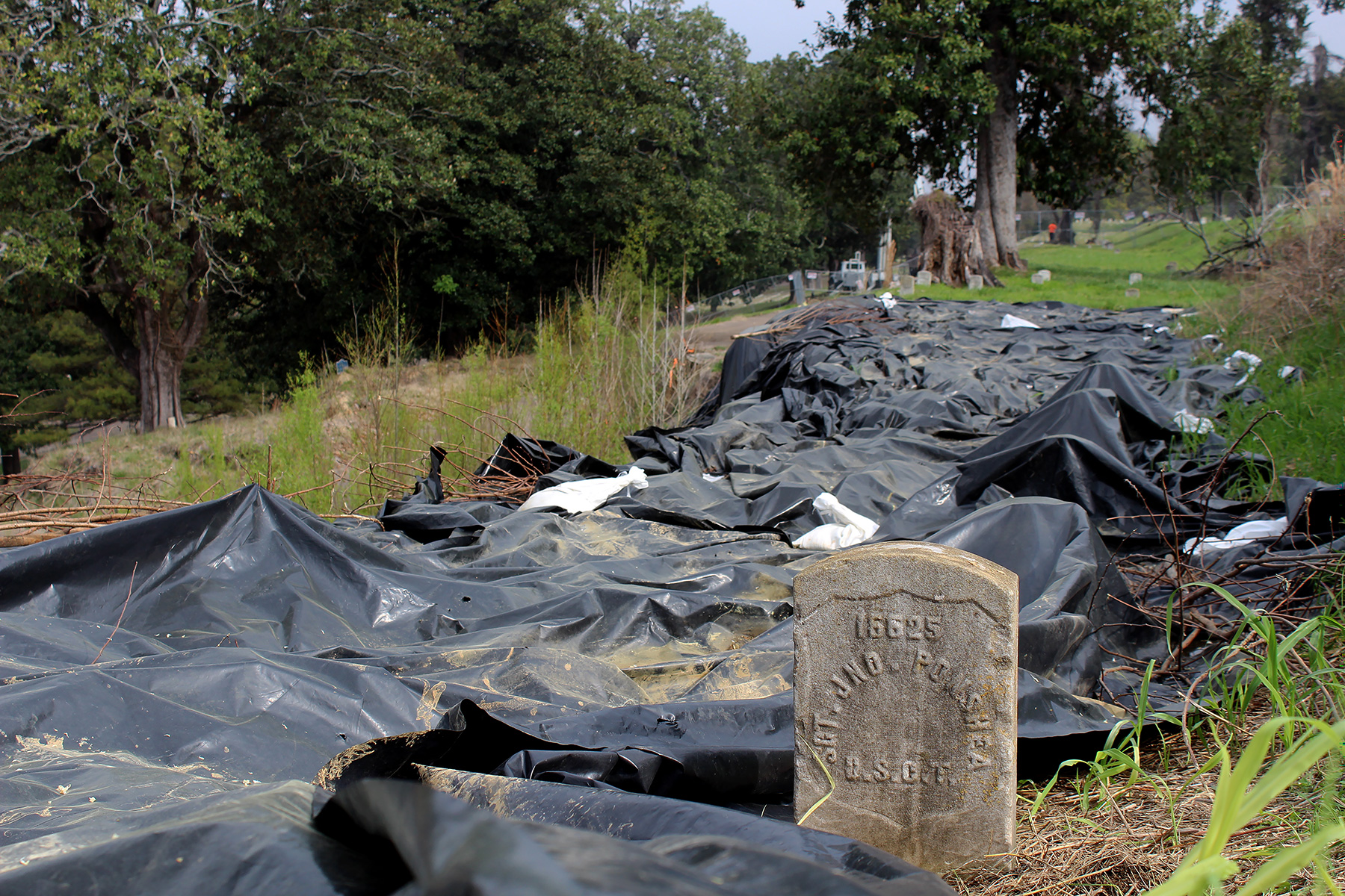 Affected Area of Section T in Vicksburg National Cemetery Black plastic tarp covers an area with grass and trees around it. Trees in the background. A gravestone is visible on the right side of the image