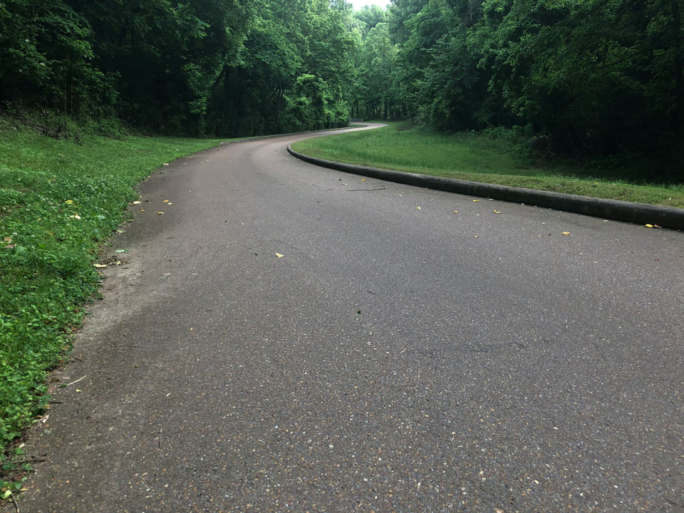 Park road in Vicksburg NMP A road bends through a wooded area.