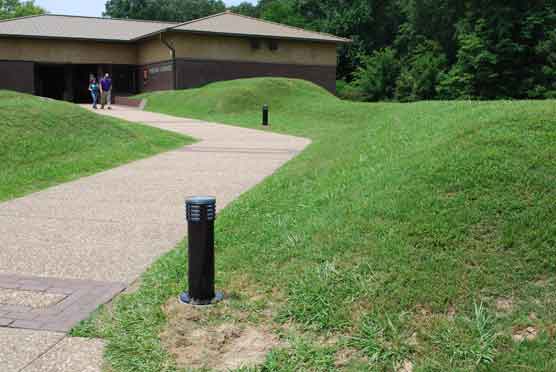 solar-lights2-DSC_9055