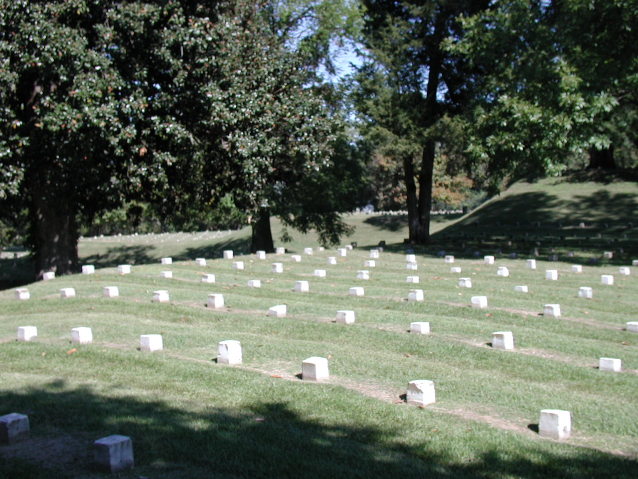 Gravestones in the National Cemetery