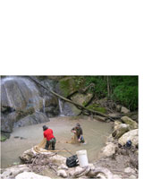 Fish Research Project
