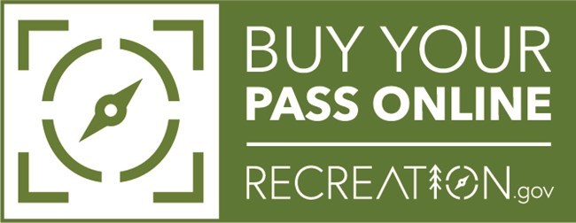 Green and white logo which says Buy Your Pass Online. Recreation.gov