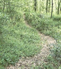 Al Scheller Trail Al Scheller Trail