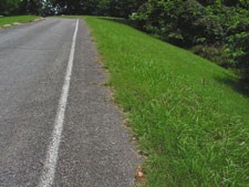 Walking Lane Along Tour Road