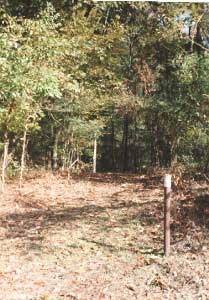 White-topped Post, Al Scheller Trail