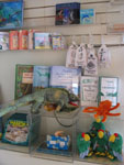 items from the Visitor Center, such as toy animals, books, games