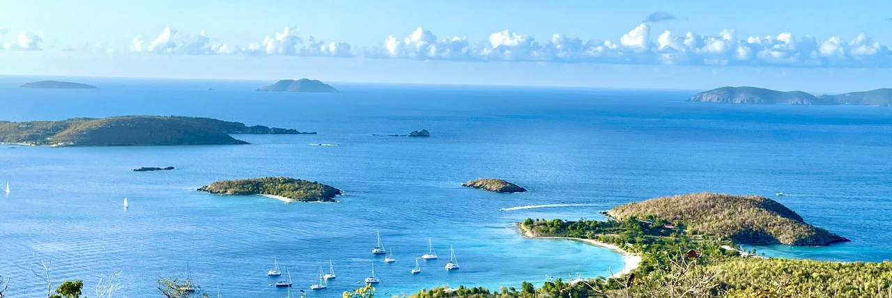 Brilliant blue sky and ocean bay merge in the horizon with puffy clouds overhead and green field in foreground.
