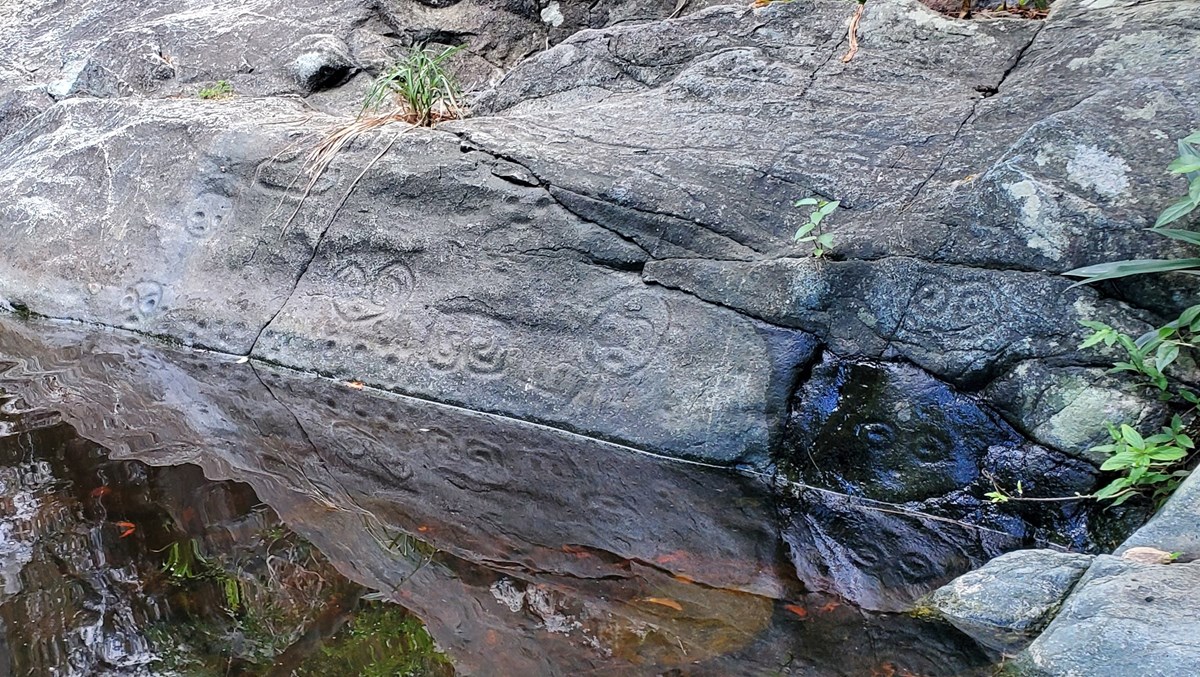 A stone outcropping with carved Taino symbols representing faces with animal features, dots, and swirled symbols