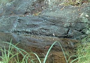 Petroglyphs of Reef Bay