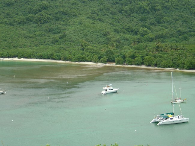 Maho Bay Sediment 2011