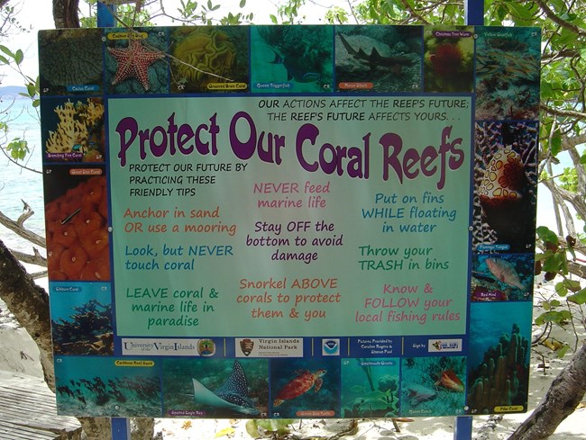 Protect our Reefs