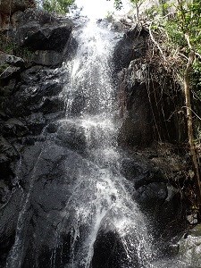 Reef Bay Falls 11-11-2017 Reef Bay Falls 11-11-2017