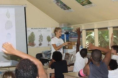 Education students on Turtles