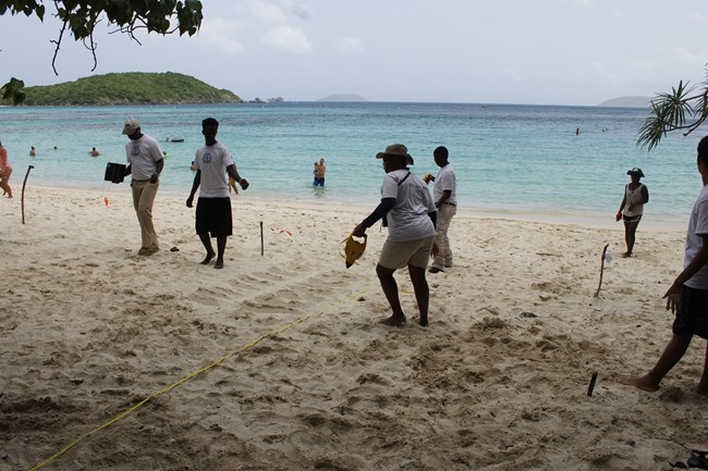 Turtle Monitoring