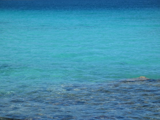 view across the surface of turquoise-colored, tropical marine water