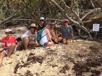 Hawksbill Nest 07-2018