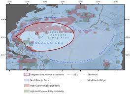 Sargasso Sea Map