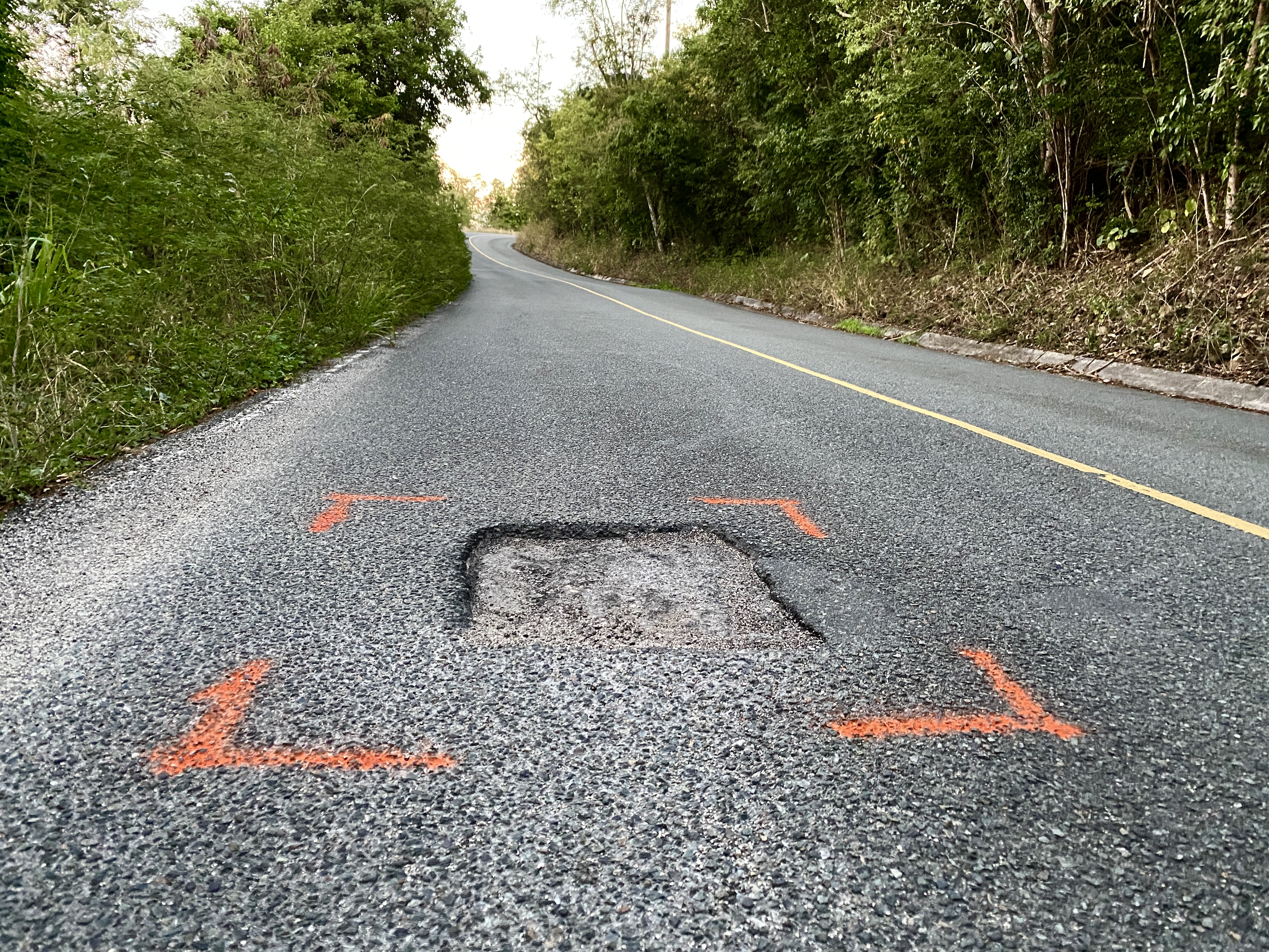 A pot hole is marked for patching on a tree-lined winding road. Damage to be repaired is marked on pavement