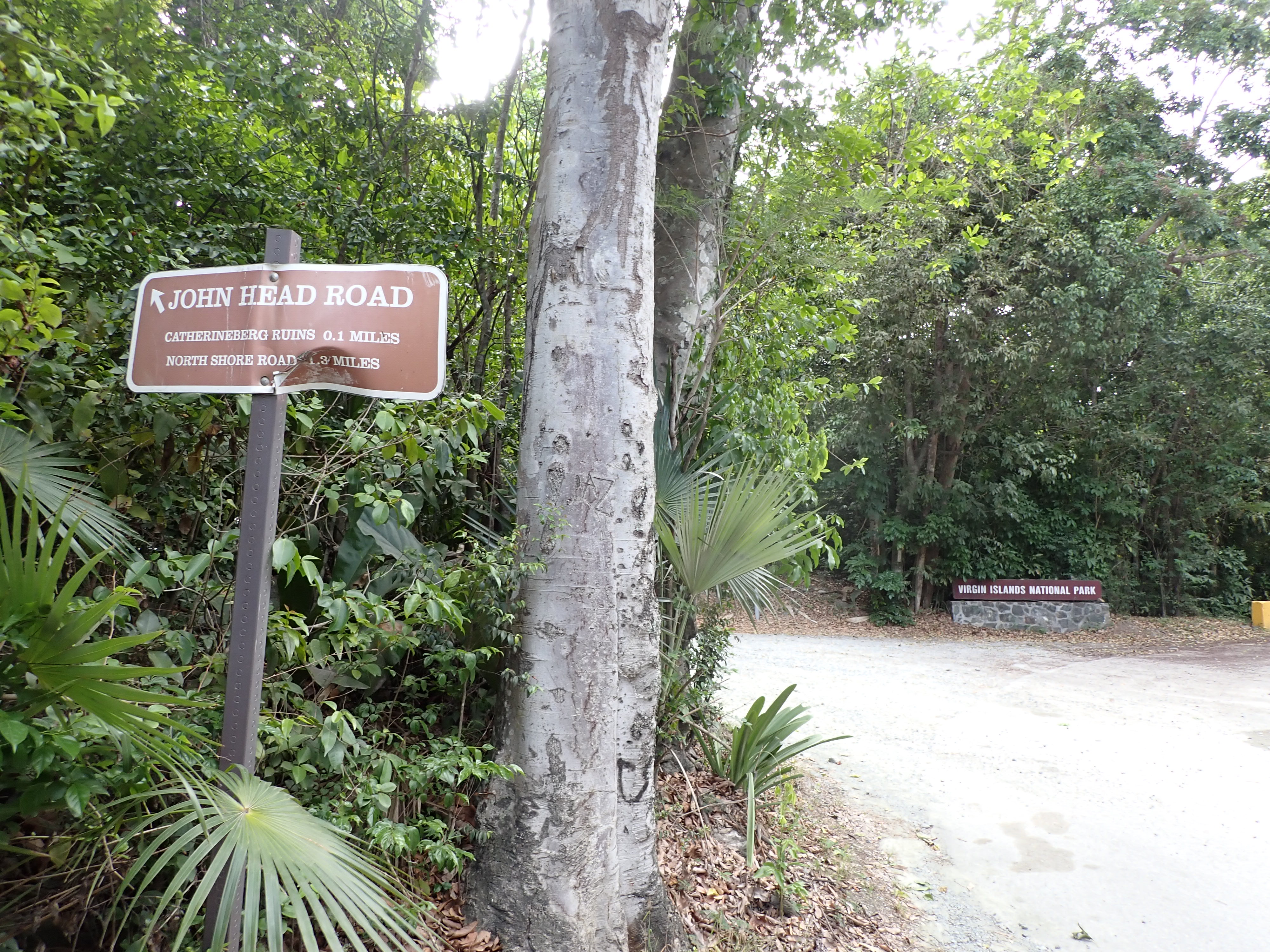 An image of the intersection of Centerline Rd and John Head Rd with a Virgin Islands National Park identity sign on the corner.