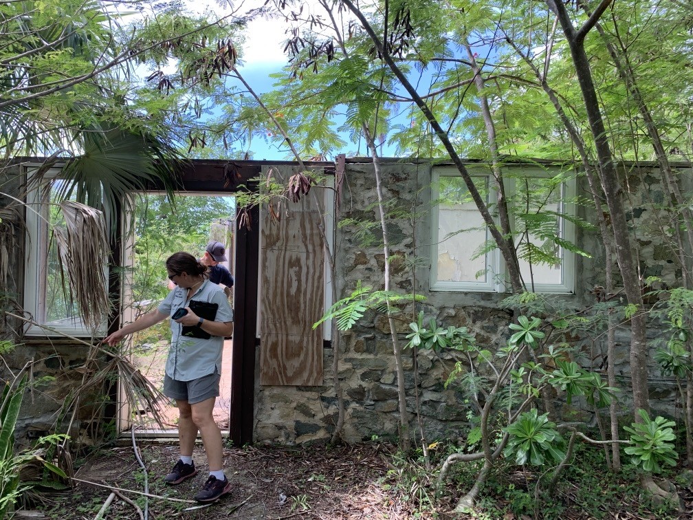 Wildland Fire Risk Assessment Team in action! Two members of the NPS wildland fire risk assessment team examine a stone structure overgrown with tropical brush.
