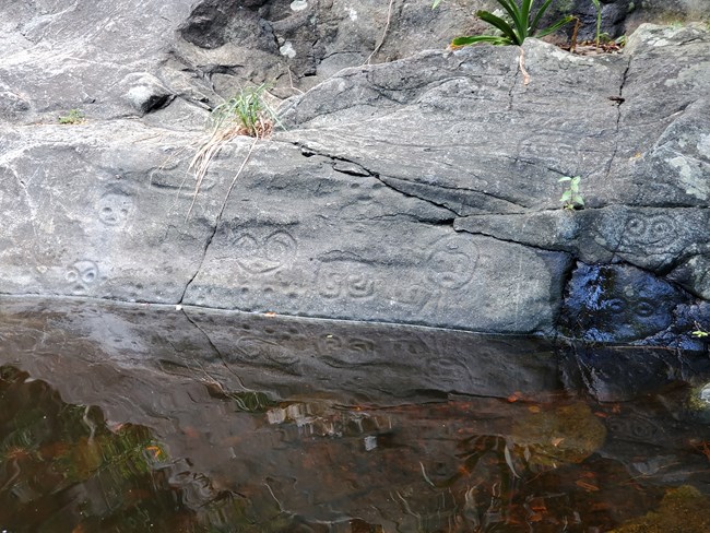 Taino religious symbols that were carved into the basalt rock walls of a spring-fed pool reflect off the surface of the water.