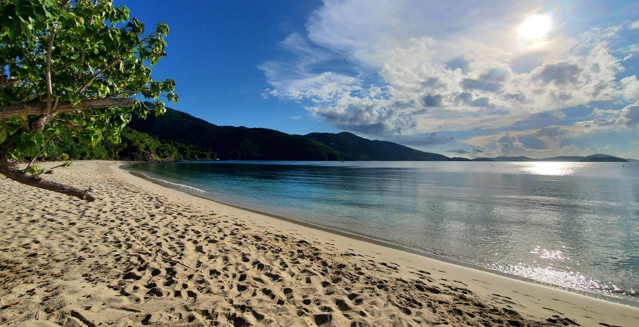 The view from Francis Bay Beach reveals footprints in white sand, calm clear water, and the rolling green hillsides of St. John pictured beneath a partly cloudy sky.