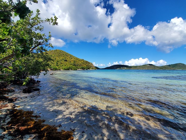 A view from the beach at Brown Bay reveals the blue waters of Virgin Islands National Park lapping up against the white sand beach with hills of St. John and the British Virgin islands in the background.