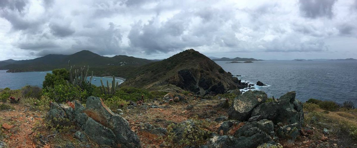 The view from Ram Head, facing St. John's mainland with rolling green hills, grey basalt boulders, and an assortment of green vegetation, all pictured beneath a dramatic stormy sky.