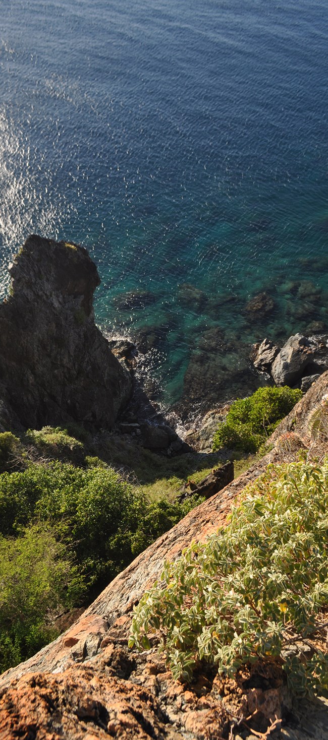 The rocky coastline of Ram Head with it's grey and brown cliffs and sparse green vegetation descending to the cool blue waters of Virgin Islands National Park.