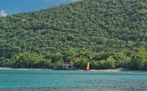 Cinnamon Bay Beach Photo by Dave Pinardi