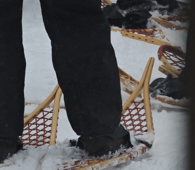 Several pairs of feet, with heavy boots and snowshoes strapped on, line up for a guided hike
