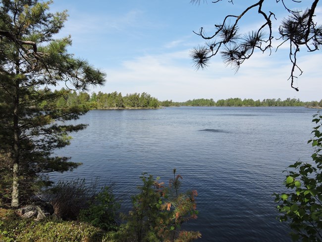 Image of Rainy Lake