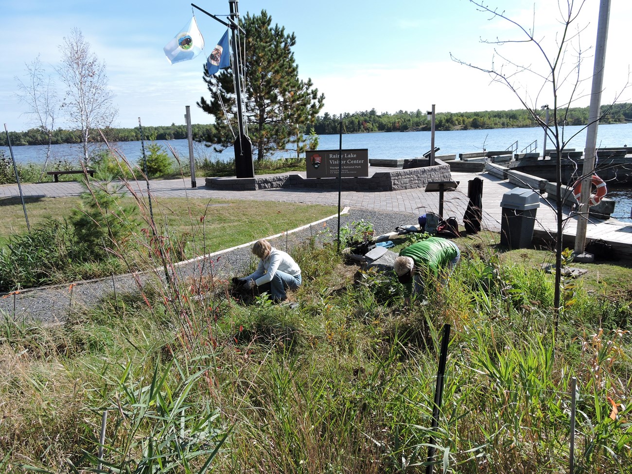 Two people planting plants