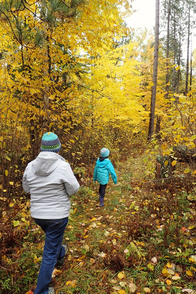 Two people walking on a trail in the fall