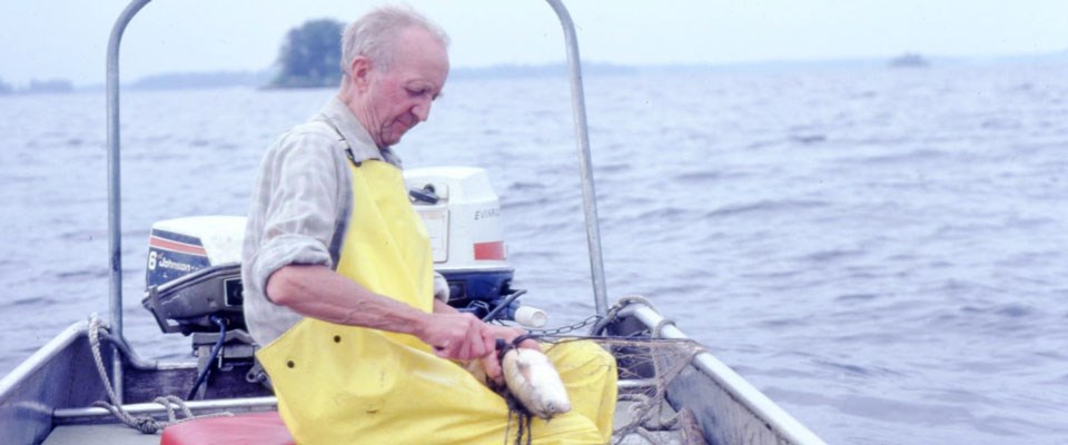 Harry Oveson removing a fish from his net Harry Oveson removing a fish from his net