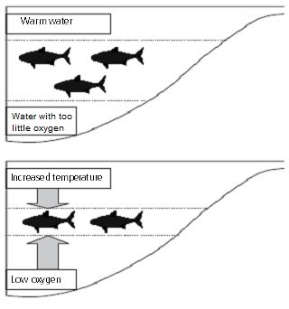 temperature and oxygen graph of water