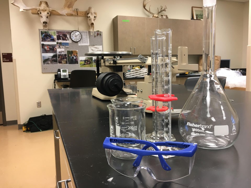 Several glass beakers and a pair of protective goggles sitting in front of a scale located in a science lab with mammal skulls hung up in the background
