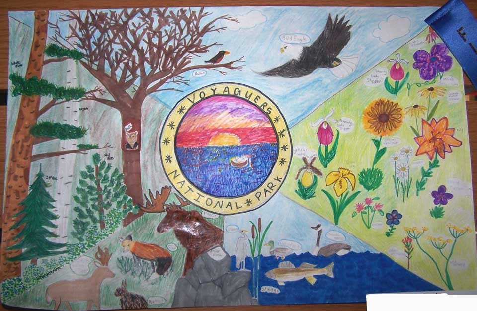 Artwork from student depicting different areas of the park such as Minnesota flowers, fish, mammals and trees. Artwork from student depicting different areas of the park such as Minnesota flowers, fish, mammals and trees.
