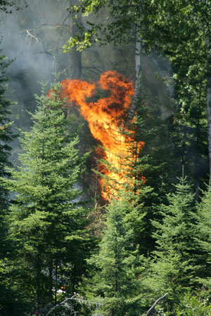 Mica Bay Burn Mica Bay Burn