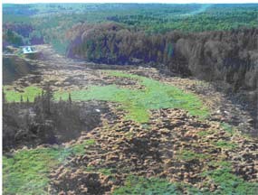 A mosaic of burned and unburned patches