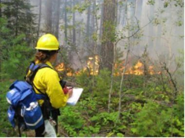 A fire fighter records data on Mica Island in 2007. A fire fighter records data on Mica Island in 2007.