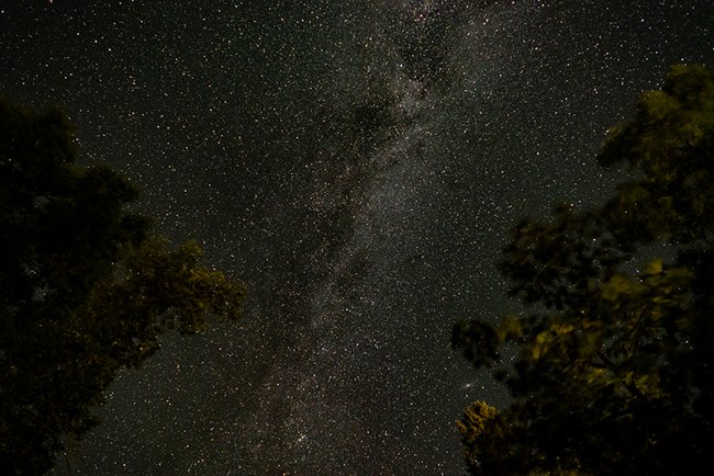 A long, bright cluster of stars stretches across a dark horizon, with trees on either side.