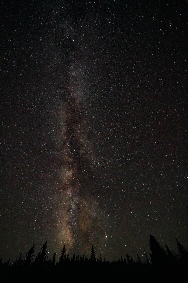 A bright band of stars stretches upward from the shadowy silhouettes of trees on a distant horizon.