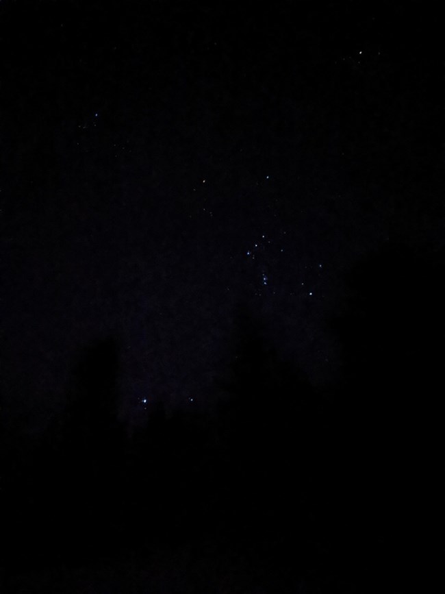 A cluster of bright stars--three in a straight line forming the "belt" of Orion--shine above a scenic, shadowy wooded area.