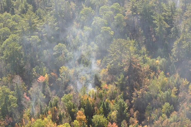 Small amount of smoke rising up and out of a thick forest cover.