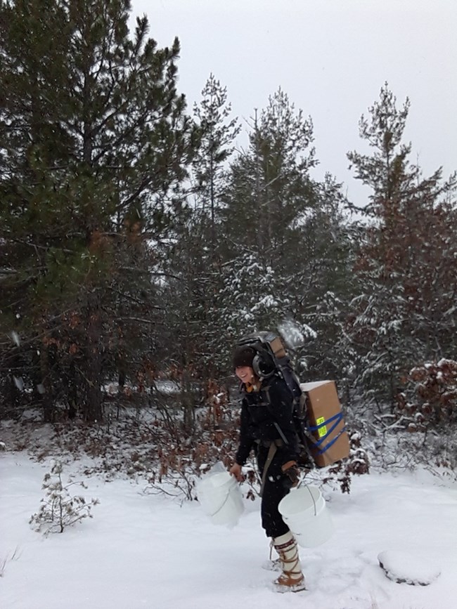 In a snowy forest opening, a technician carries plastic buckets and boxes of equipment on a frame pack