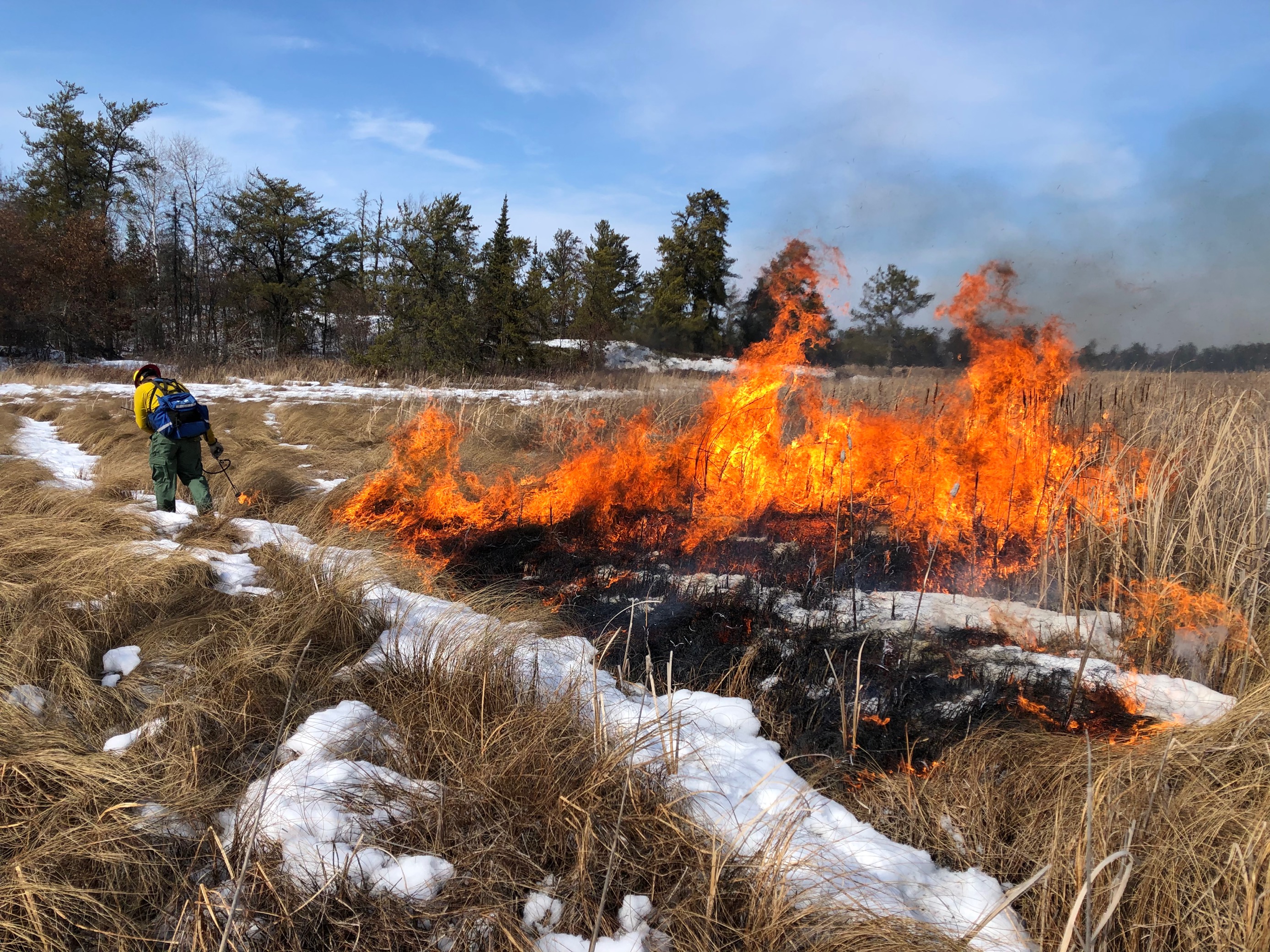 Cattail burning image 1, NPS Park Staff monitors prescribed burns in wetland area.