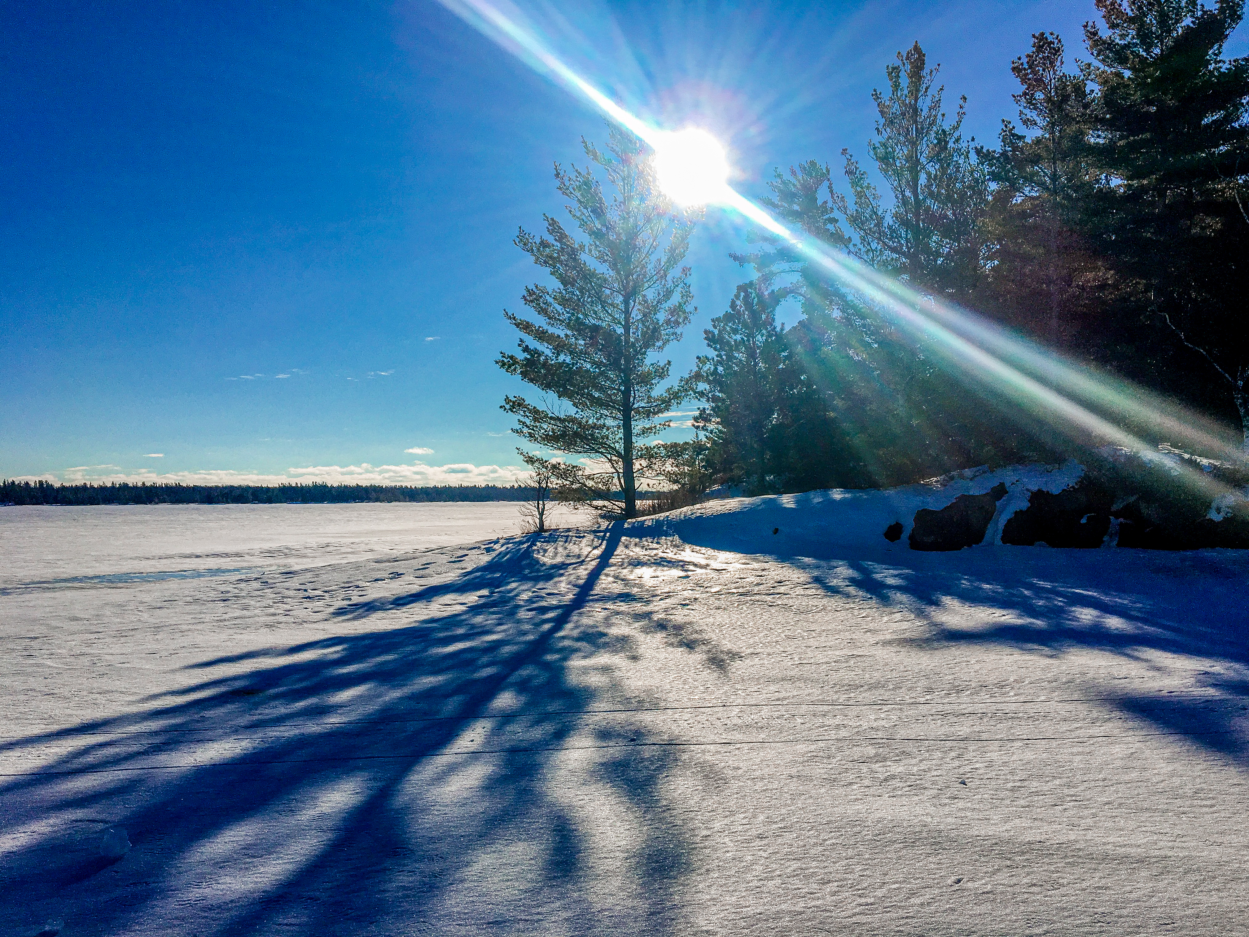 The sun shines through pine trees on the shores of Cranberry Bay on Rainy Lake.