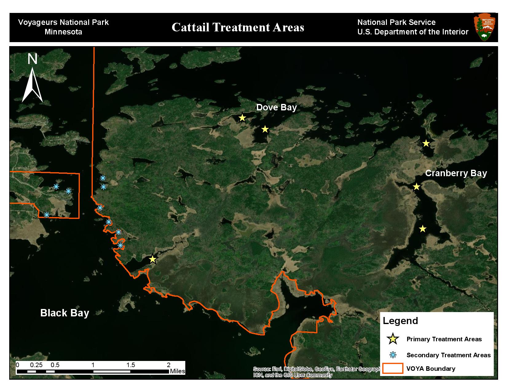 Cattail Treatment Areas A map of the park showing cattail primary and secondary treatment areas. Spots in Dove Bay and Cranberry Bay are shown as primary treatment areas.